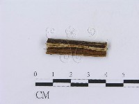 登錄號:F0005029藏品圖，第3張