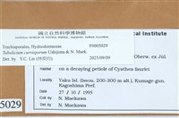 登錄號:F0005029藏品圖，第5張