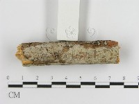 登錄號:F0005030藏品圖，第3張