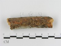 登錄號:F0005030藏品圖，第4張