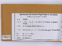 登錄號:F0005031藏品圖，第2張