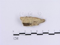 登錄號:F0005031藏品圖，第1張