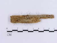 登錄號:F0005032藏品圖，第3張