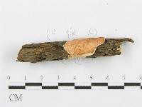 登錄號:F0005034藏品圖，第3張