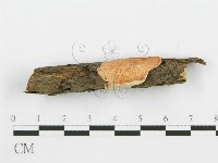 登錄號:F0005034藏品圖，第4張