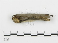 登錄號:F0005034藏品圖，第5張