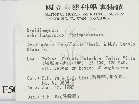 登錄號:F0005035藏品圖，第2張