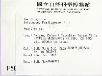 登錄號:F0005036藏品圖，第2張