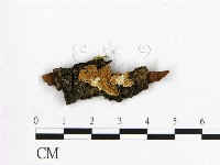 登錄號:F0005036藏品圖，第1張