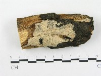 登錄號:F0005037藏品圖，第1張