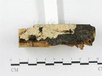 登錄號:F0005037藏品圖，第4張