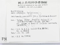 登錄號:F0005038藏品圖，第2張