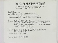 剛毛絲皮菌藏品圖，第2張