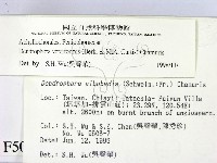 登錄號:F0005040藏品圖，第2張