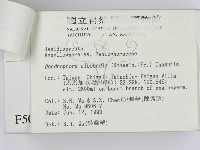 登錄號:F0005040藏品圖，第3張