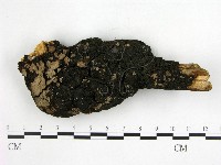 登錄號:F0005040藏品圖，第1張