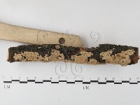 登錄號:F0005042藏品圖，第3張