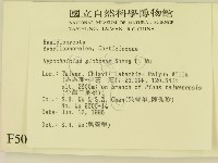 登錄號:F0005044藏品圖，第2張