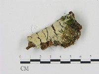 登錄號:F0005044藏品圖，第1張