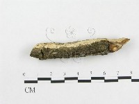 登錄號:F0005046藏品圖，第1張