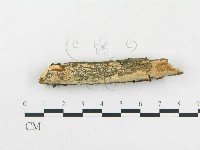 登錄號:F0005046藏品圖，第3張