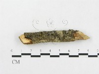 登錄號:F0005046藏品圖，第4張