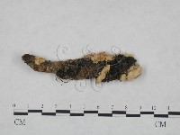 登錄號:F0005047藏品圖，第1張