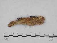 登錄號:F0005047藏品圖，第3張