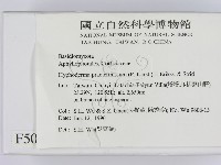 登錄號:F0005048藏品圖，第2張