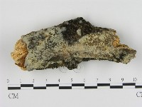 登錄號:F0005048藏品圖，第1張