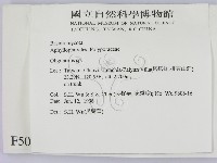 寡孔菌屬藏品圖，第2張