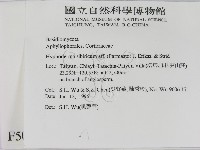 登錄號:F0005051藏品圖，第2張