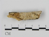 登錄號:F0005051藏品圖，第1張