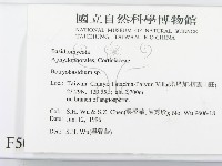 登錄號:F0005052藏品圖，第2張