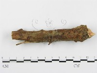 登錄號:F0005052藏品圖，第1張