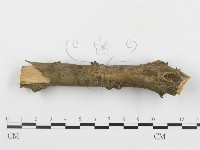 登錄號:F0005052藏品圖，第4張