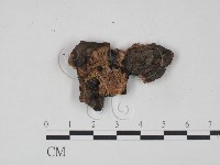 登錄號:F0005053藏品圖，第1張