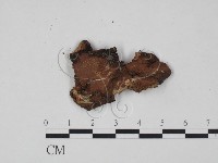 登錄號:F0005053藏品圖，第3張