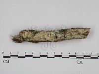 登錄號:F0005055藏品圖，第1張