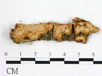 登錄號:F0005056藏品圖，第1張