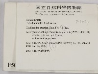 登錄號:F0005057藏品圖，第2張