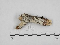 登錄號:F0005057藏品圖，第1張