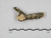 登錄號:F0005057藏品圖，第3張