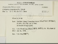 登錄號:F0005058藏品圖，第2張