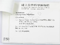 登錄號:F0005058藏品圖，第3張