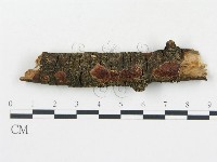 登錄號:F0005058藏品圖，第1張