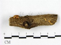 登錄號:F0005059藏品圖，第1張