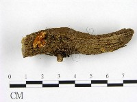 登錄號:F0005059藏品圖，第3張