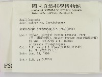 剛毛絲皮菌藏品圖，第2張