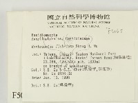 登錄號:F0005065藏品圖，第2張